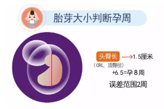 孕妈自己通过b超单看男女准吗？