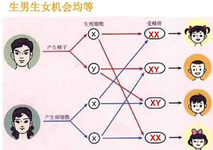 怀孕45天抽血查染色体准吗?宝妈亲测准确